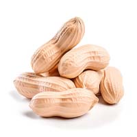 L-Arginine Ingredient in Whispeara for Blood Circulation